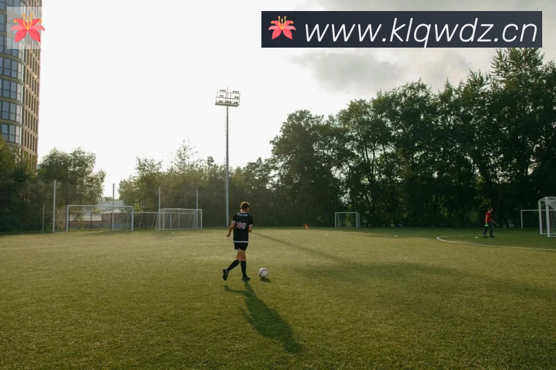 开云体育登录荣誉