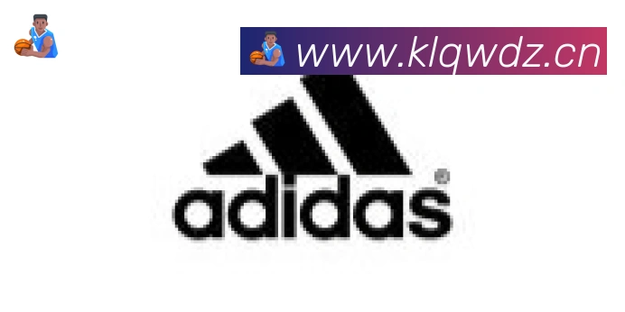 开云体育登录合作伙伴